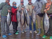 Tuna Duck Sportfishing, Birthday Tunas