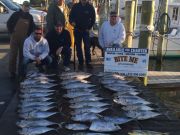 Bite Me Sportfishing Charters, Blackfin tunas on the vertical jigs!