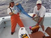 Tuna Duck Sportfishing, Tuna and Dolphin