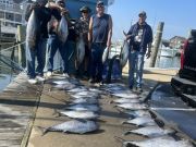 Tuna Duck Sportfishing, Tunas Are Biting!