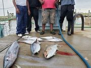 Tuna Duck Sportfishing, Scrappy Fishing Today