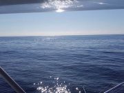 Tuna Duck Sportfishing, Beautiful Day in the Gulf Stream