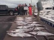 Hatteras Harbor Marina, Calm Sea = Plenty of Catches