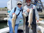 Hatteras Harbor Marina, Limits of Red Drum