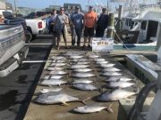 Bite Me Sportfishing Charters, Meat!