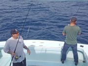 Tuna Duck Sportfishing, Jigging For Bluefin Tunas