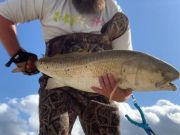 Jordan Martin with one of four drum he caught on   Wed  The fish were driving the bait fish to the beach. 