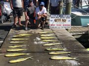 Bite Me Sportfishing Charters, Pretty Day with dolphin!