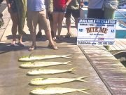 Bite Me Sportfishing Charters, Purdy Day with New Friends