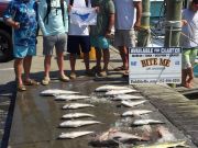Bite Me Sportfishing Charters, New Piggly Wiggley!