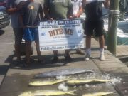 Bite Me Sportfishing Charters, Kinda rough