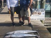 Bite Me Sportfishing Charters, Father Son Friday