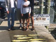 Bite Me Sportfishing Charters, Pretty Day with Dolphin
