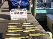Bite Me Sportfishing Charters, White Marlin and Dolphin!