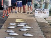 Bite Me Sportfishing Charters, Tuna and dolphin on July 4th