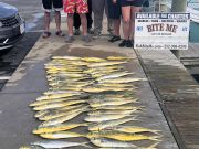 Bite Me Sportfishing Charters, Big Mess of Dolphin