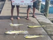 Bite Me Sportfishing Charters, Looking for marlins