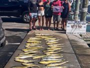Bite Me Sportfishing Charters, Dolphins and a Sailfish