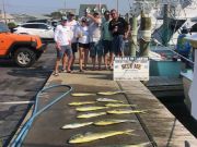 Bite Me Sportfishing Charters, dolphin with the monkalur crew