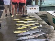 Bite Me Sportfishing Charters, Dolphins and Wahoos