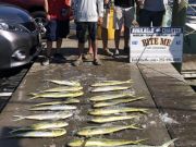Bite Me Sportfishing Charters, This is why I go fishing every day
