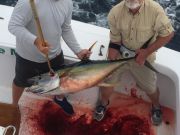 Bite Me Sportfishing Charters, Big Yellowfin on Light Tackle!