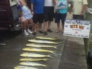 Bite Me Sportfishing Charters, A sail and a mess of mahi!