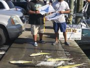 Bite Me Sportfishing Charters, There He Is !