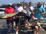 Bite Me Sportfishing Charters, Dolphins and Kings