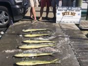 Bite Me Sportfishing Charters, NC State Fishing School