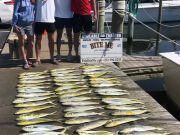 Bite Me Sportfishing Charters, Family Fun with a load of Dolphin