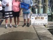 Bite Me Sportfishing Charters, Marlin Hunting!