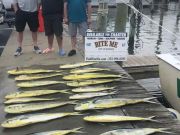 Bite Me Sportfishing Charters, Dolphin - Pretty Day!