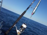 Tuna Duck Sportfishing, Need Anglers!