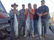 Tuna Duck Sportfishing, King Mackerel