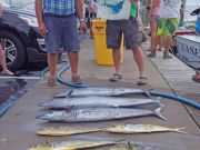 Tuna Duck Sportfishing, Fishing in Dorian's Swells
