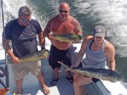 Tuna Duck Sportfishing, Mahi Today