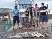 Tuna Duck Sportfishing, Showing of Mahi