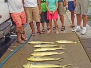 Tuna Duck Sportfishing, Mahi and Wahoo