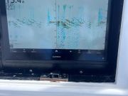 Bite Me Sportfishing Charters, Bluefin Bonanza