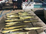 Bite Me Sportfishing Charters, Now Booking for 2024