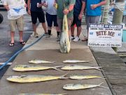 Bite Me Sportfishing Charters, Tuna, Dolphin and a Sailfish