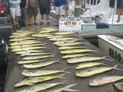 Bite Me Sportfishing Charters, Blue Marlin and Gaffers
