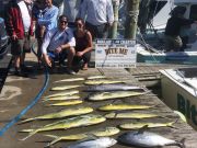 Bite Me Sportfishing Charters, Meat Slam!