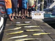 Bite Me Sportfishing Charters, Team Monkalur!