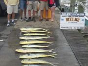 Bite Me Sportfishing Charters, New Friends!