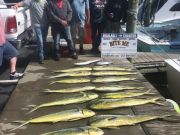 Bite Me Sportfishing Charters, Rough day good catch
