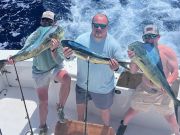 Bite Me Sportfishing Charters, Dolphins and a Blackfin!