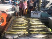 Bite Me Sportfishing Charters, Now Booking for 2025!