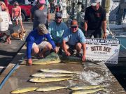 Bite Me Sportfishing Charters, Dolphin